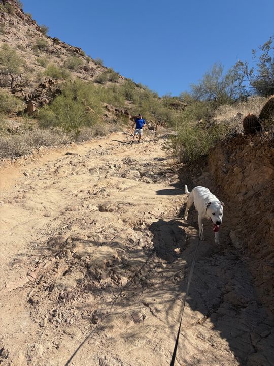 Max on a dry desert trail between rocky hills